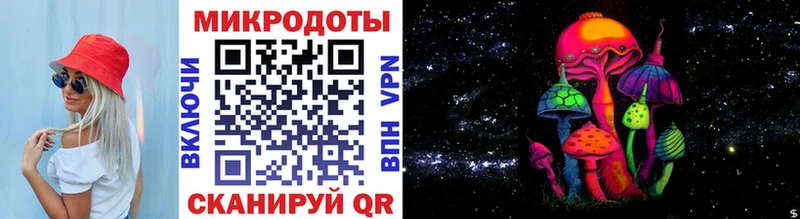 гидра как войти  Дивногорск  Галлюциногенные грибы Psilocybine cubensis 